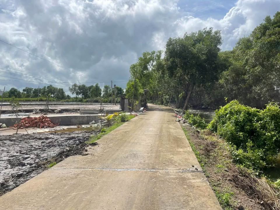 Bán Đất Vườn 1100m² P. Lý Văn Lâm, Cà Mau - Sổ Hồng Sẵn Sàng