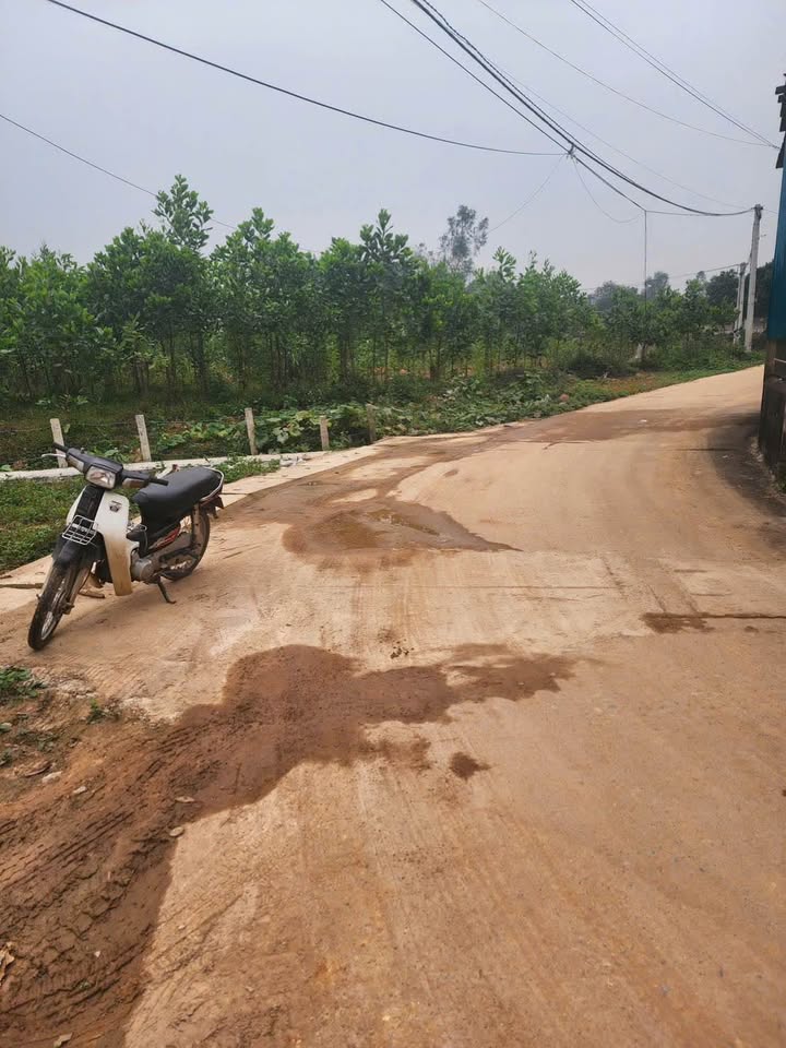 Đất nghỉ dưỡng Bắc Sơn, Sóc Sơn 6240m² - Tiềm năng tăng giá vượt trội!