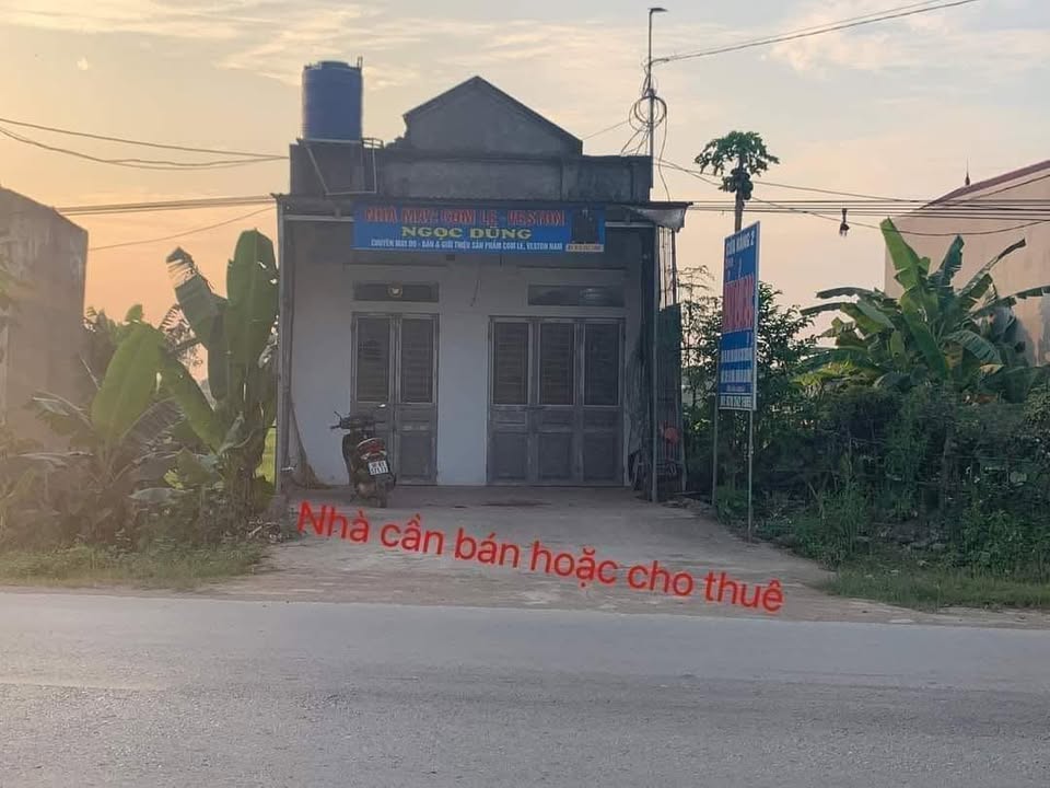 Bán nhà mặt tiền Tỉnh lộ 514 Triệu Sơn 107m² - Kinh doanh sầm uất