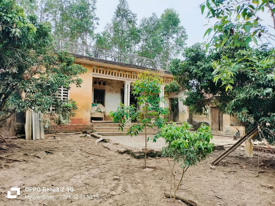 Bán Đất Vườn Đồng Kỳ, Yên Thế 1484m² - Sẵn Sổ Hồng, Giá Đầu Tư