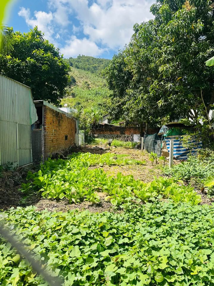 Đất Vĩnh Hòa Nha Trang 135.4m² Sổ Đỏ - Gần Vành Đai 3, Giá 1.35 Tỷ