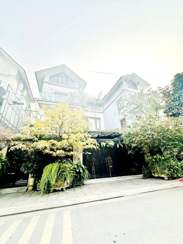 Biệt Thự Song Lập Trịnh Văn Bô 145m² - Kinh Doanh & An Cư Lý Tưởng