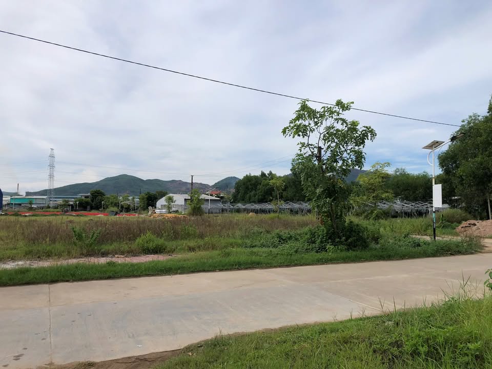 Đất nền Hòa Vang Đà Nẵng 203m² - Sẵn sổ, xây biệt thự vườn