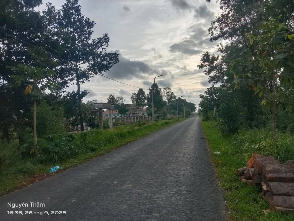 Đất Vĩnh Long 828m² Mặt Tiền Đường 909, Giá 1.49 Tỷ - Cơ Hội Đầu Tư Sinh Lời!