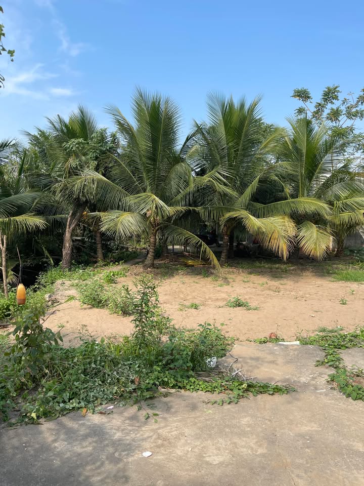 Đất nền Mỹ Phong, Mỹ Tho 58.8m² (420 triệu) - Sổ hồng thổ cư, ô tô tận nơi