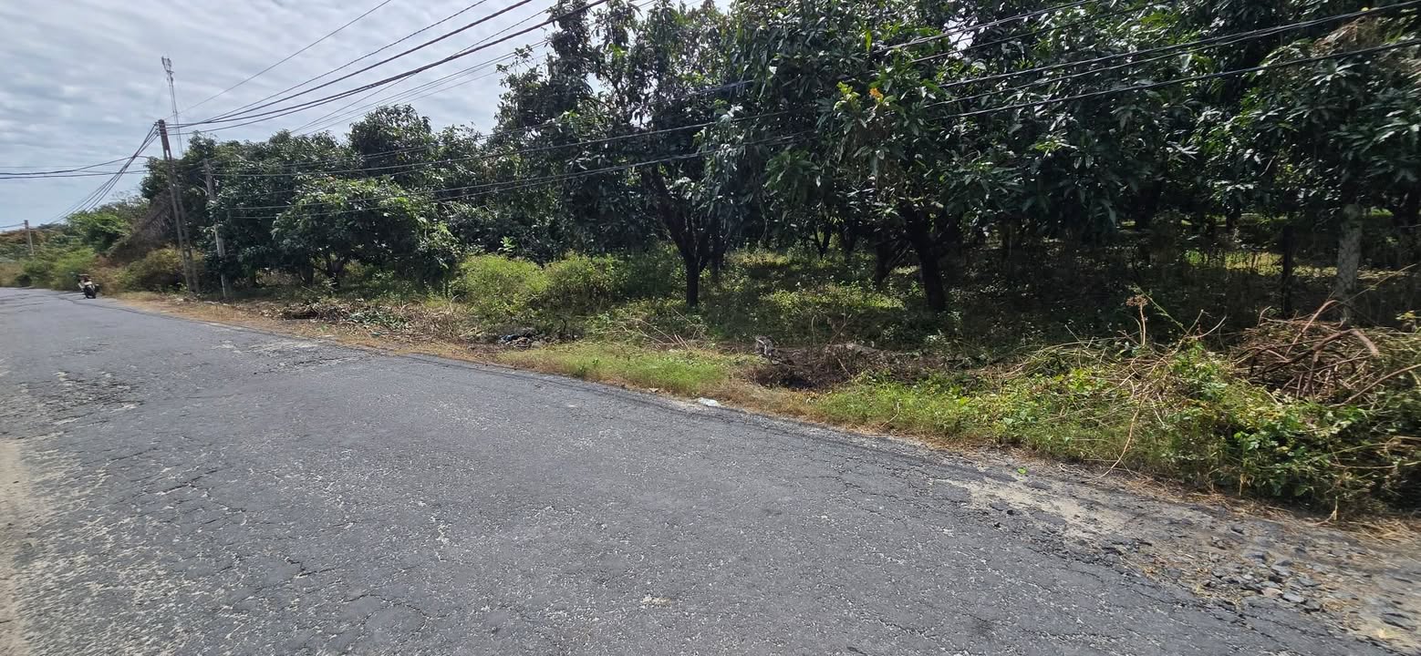 Đất Vườn Cam Đức 1339m² - Cắt Lỗ Sâu, Giá Đầu Tư 1.2 Tỷ