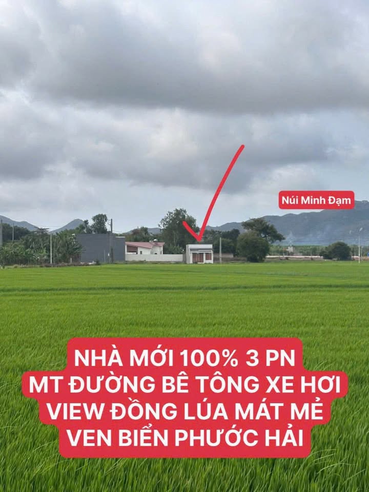 Nhà 3PN Đồng Lúa Phước Hải 131m² - Mát mẻ quanh năm, 5 phút ra biển