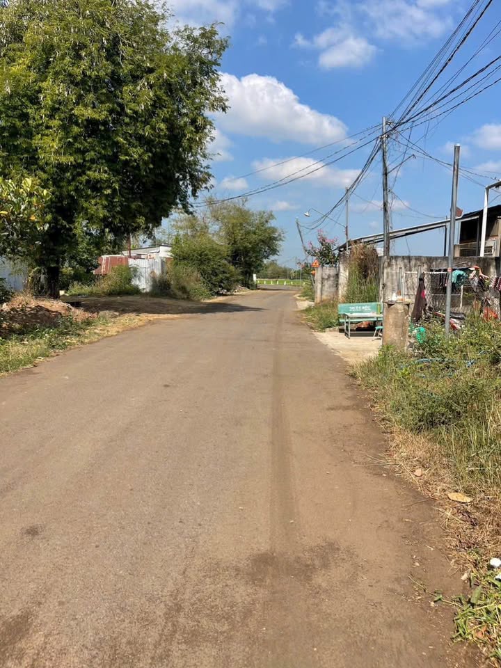 Đất Vườn 1000m² Mặt Tiền Nhựa Long Khánh - Giá Đầu Tư 1.25 Tỷ