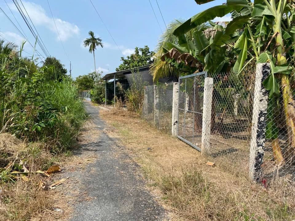 Bán Đất Vườn Phước Hậu Long Hồ 960m² 1.8 Tỷ - Nghỉ Dưỡng Lý Tưởng