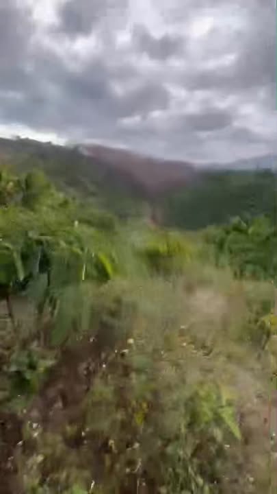 Đất Nông Nghiệp Đắk Nông 2520m² - Giá 680 Triệu - Sổ Đỏ Sẵn Sàng