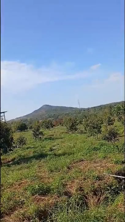 Bán 2.7ha Đất Eakiet Cư M'gar - Sổ Đỏ Sẵn, Giá 200 Triệu/Sào