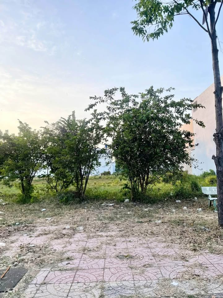 Đất nền TP Tân An 125m² giá 6.5 tỷ - Tiềm năng tăng giá vượt trội!