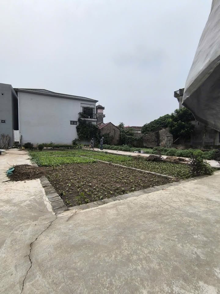 Đất nền Thường Tín 41m² giá 2.55 tỷ - Đường to ô tô đỗ cửa!