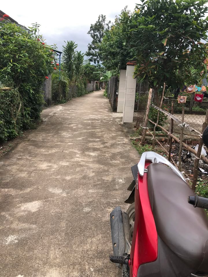 Đất nền Phú Phong, Tây Sơn 100m² - Hướng Đông Nam, Giá 4xx Triệu