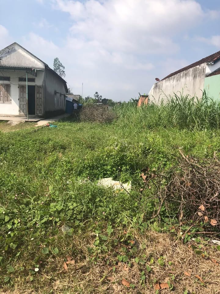 Đất nền Thôn Trường Định, Tây Sơn 250m² - Tiềm năng tăng giá!