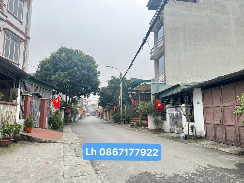 Đất nền Phường Thanh Miếu, Việt Trì 80m² - Tiềm năng tăng giá vượt trội!