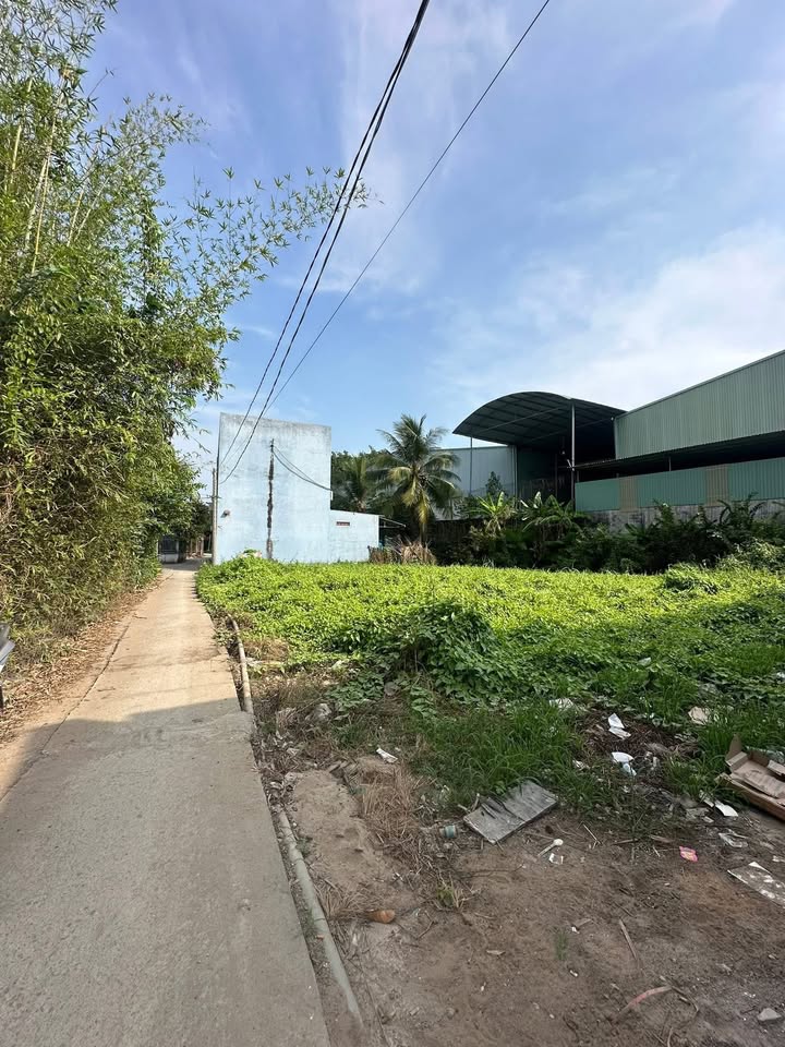 Đất nền Long Hòa, Cần Đước 88m² chỉ 650 triệu - Sổ đỏ chính chủ!