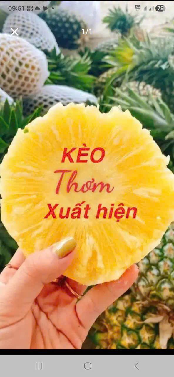 Nhà cho thuê 28m² Phường 7, Quận 8 - Hợp đồng 2 năm, Giá tốt