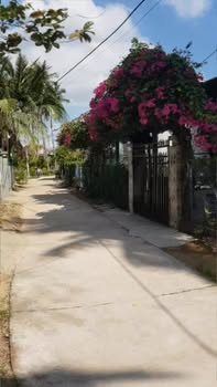 Đất nền Tam Quan Nam 95m² - Sổ đỏ chính chủ, tiềm năng tăng giá!