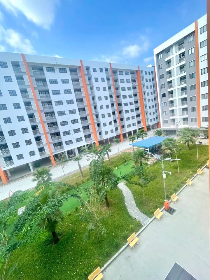 Cho thuê Căn hộ Hồng Loan 5C, Cần Thơ - 70m², 2PN, View Cầu Trần Hoàng Na