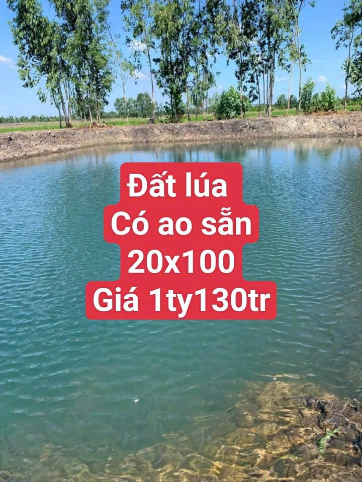 Đất nền Đức Hòa 1925m² sát VĐ4 - Sổ đỏ, giá đầu tư chỉ 1.13 tỷ