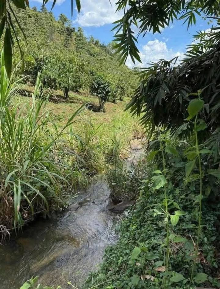 Đất Vườn Bảo Lộc 862m² Giá Tốt - Sẵn Sàng Nghỉ Dưỡng