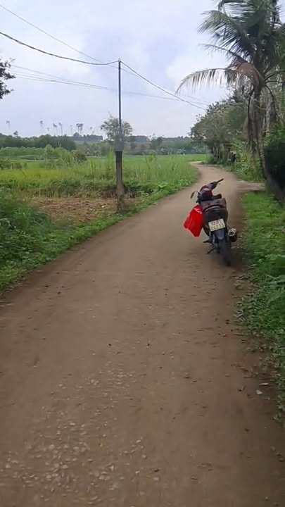 Đất nền Bình Quế 420m² giá 290 triệu - Sổ đỏ chính chủ!