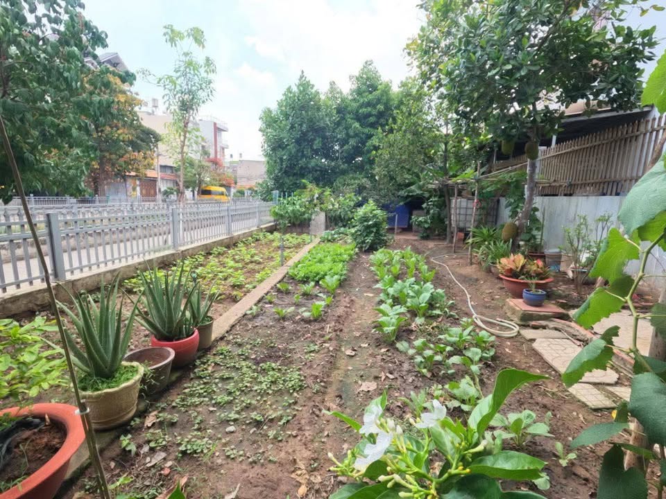 Biệt Thự Vườn 630m² Quận 12 - Giá 28 Tỷ - Sổ Hồng Riêng