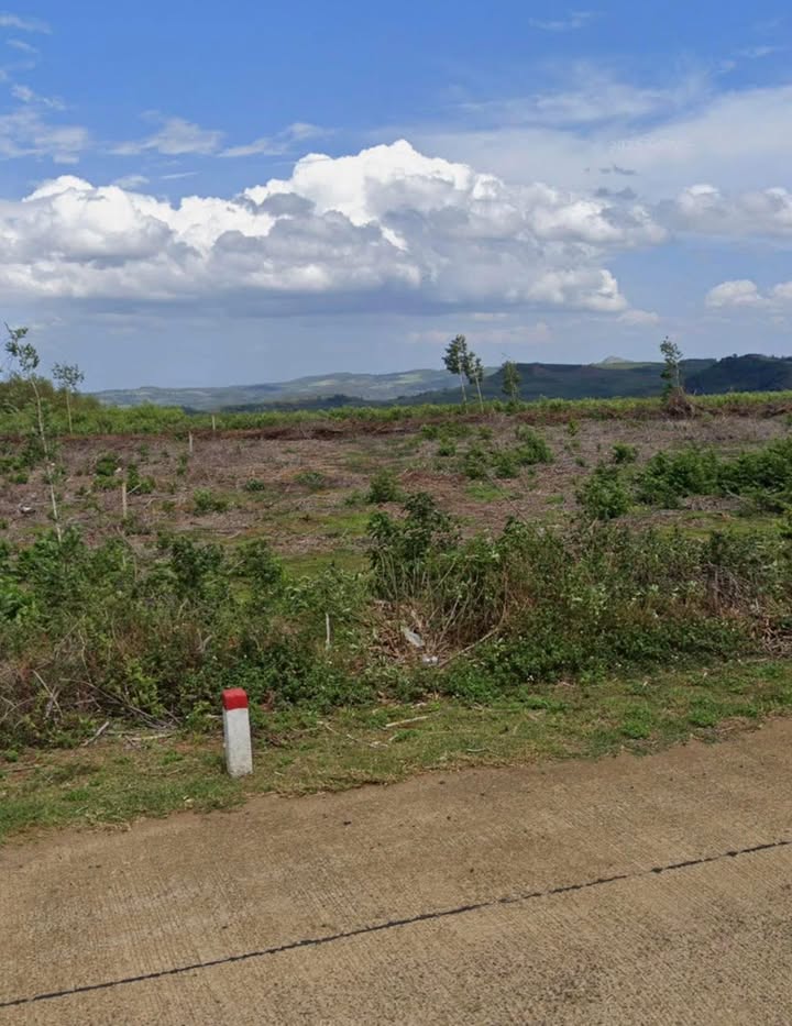 Đất Vườn Tuy An 6427m² Mặt Tiền DT650 Giá 2 Tỷ - Nghỉ Dưỡng Lý Tưởng