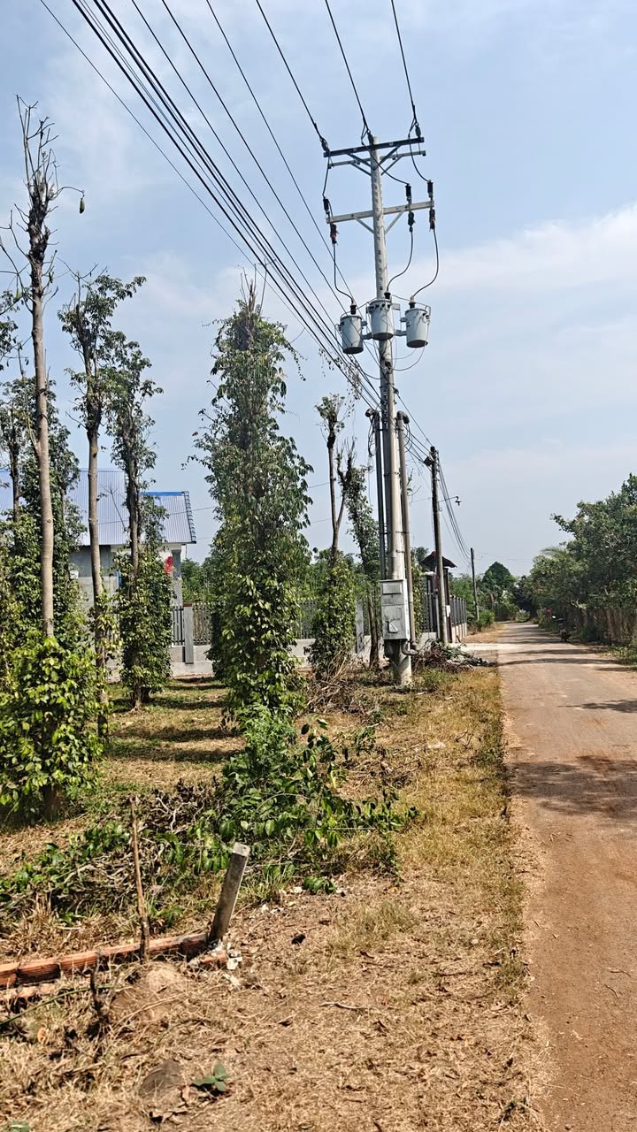 Đất nền Xuân Thọ, Đồng Nai 130m² - Sổ đỏ chính chủ!