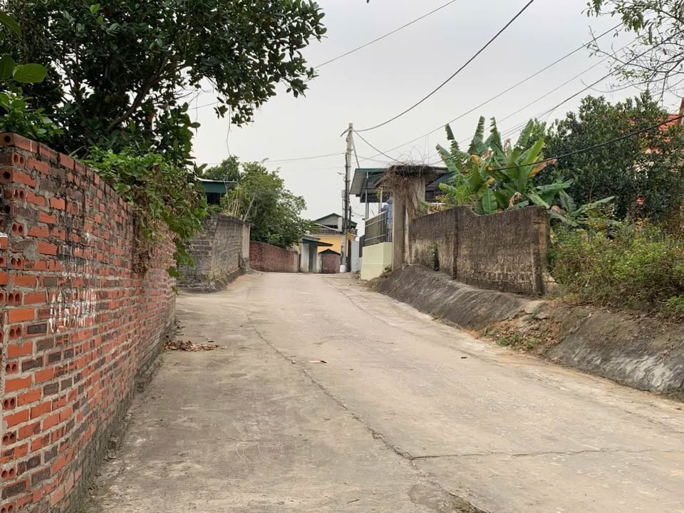 Bán Đất Phúc Thị Đông Triều 1812m² Full Thổ Cư - Giá Tốt Đầu Tư