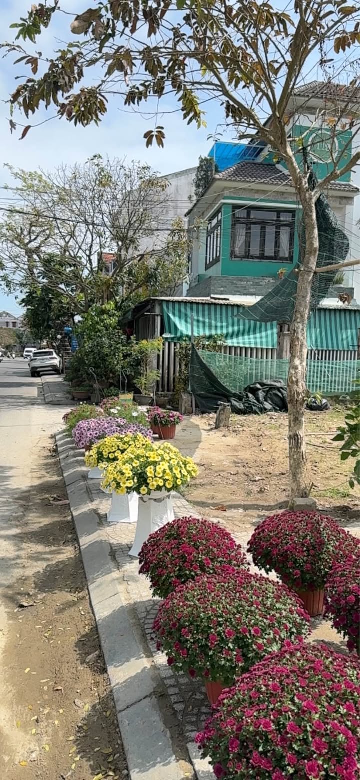 Đất nền Hội An 500m² 50 tỷ - Đầu tư sinh lời ngay Phố cổ!