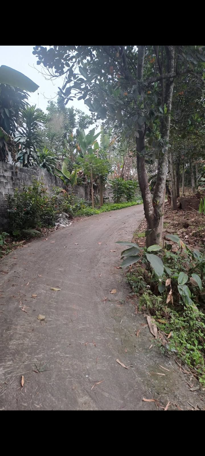 Đất vườn Quán Triều, Thái Nguyên 1350m² giá 1.95 tỷ - Nghỉ dưỡng lý tưởng!