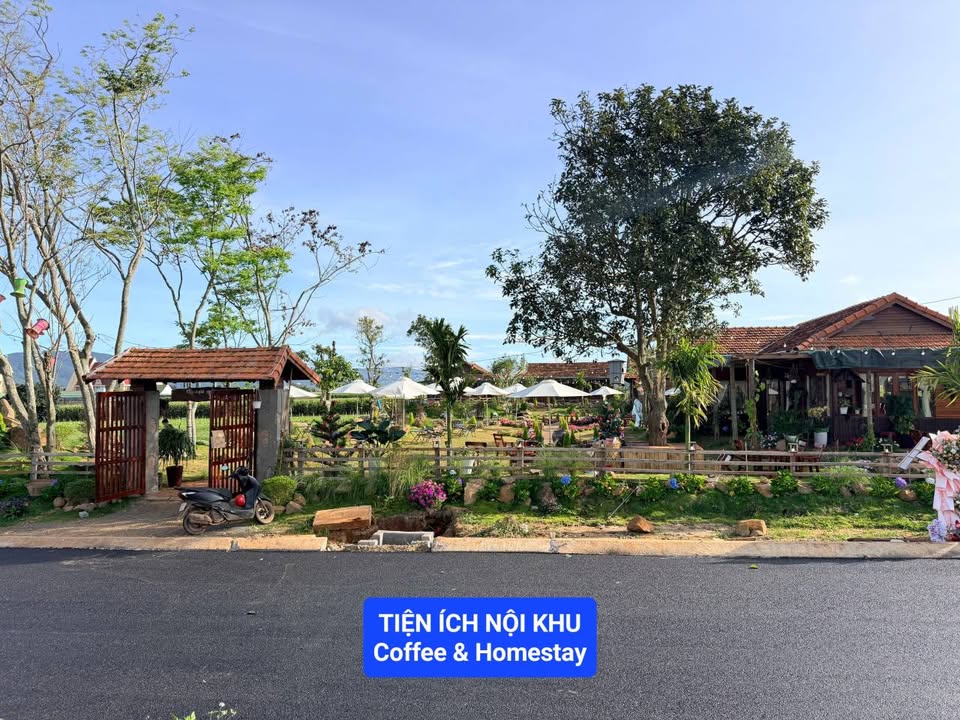 Đất vườn Đơn Dương 500m² giá 835 triệu - Nghỉ dưỡng lý tưởng!