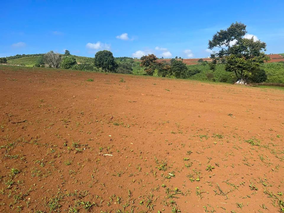 Đất nền Phú Hội, Đức Trọng 6ha – Tiềm năng tăng giá vượt trội!