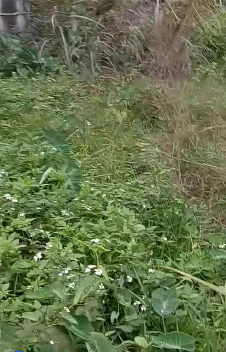 Đất nền sổ đỏ 46m² Thôn Lộng Đồng, Nam Định - Giá tốt, ô tô đỗ cửa