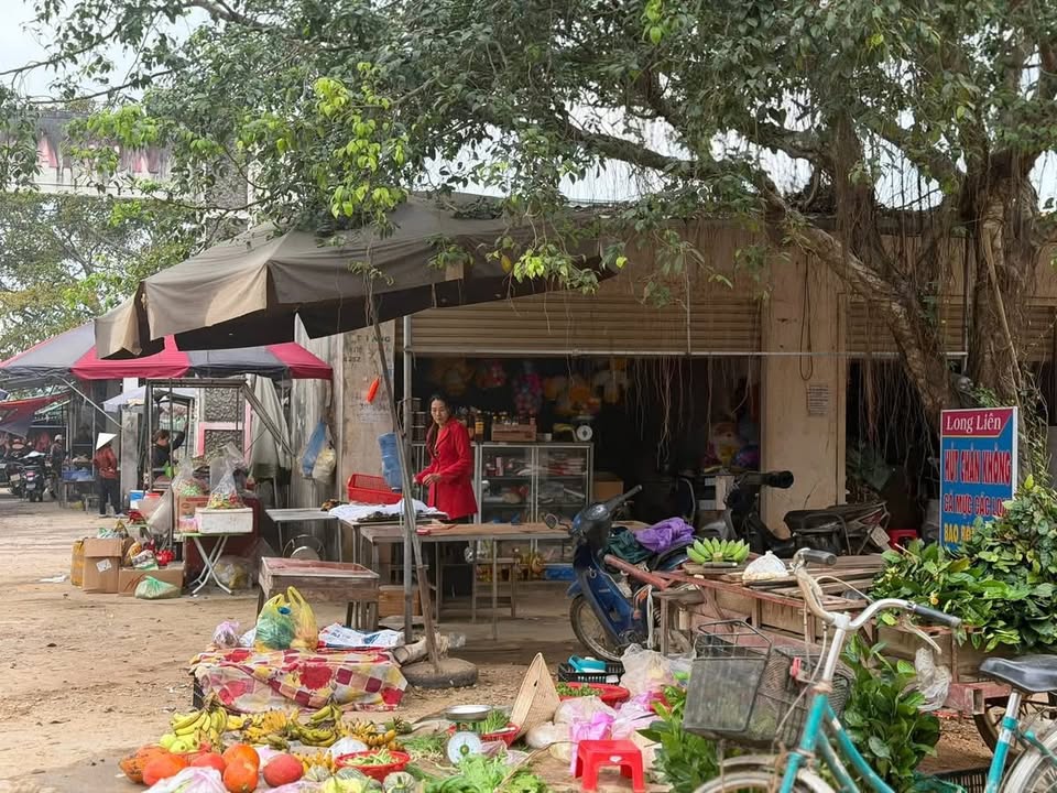 Đất nền Bài Sơn 182m² giá 950 triệu - Hai mặt tiền, sổ đỏ sẵn sàng!