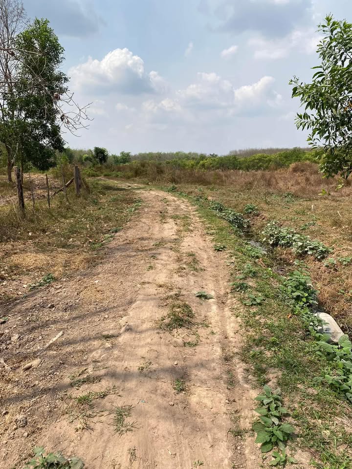 Bán gấp 7200m² đất Lộc Thạnh, Bình Phước - Sổ hồng sẵn, mặt tiền rộng