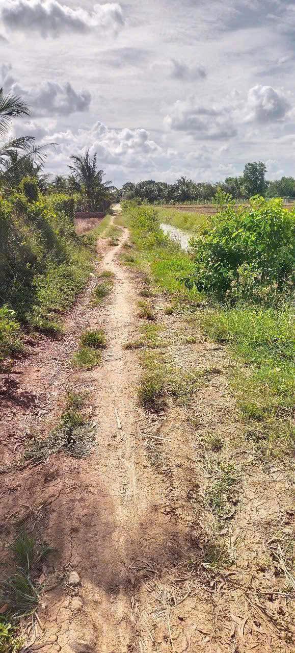 Đất Mặt Tiền Kênh Trà Vinh - 2242m² Tiềm Năng Quy Hoạch