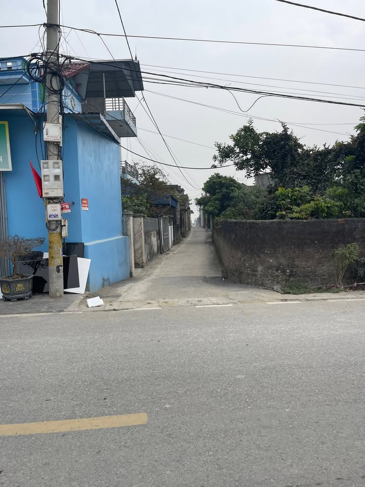 Đất nền Thôn Trạch Xá, Ứng Hòa 88.1m² - Tiềm năng tăng giá!