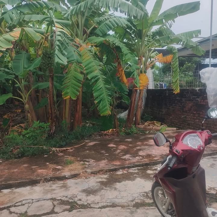 Đất nền Thanh Tân 539m² chỉ 2 tỷ - Tiềm năng tăng giá vượt trội!