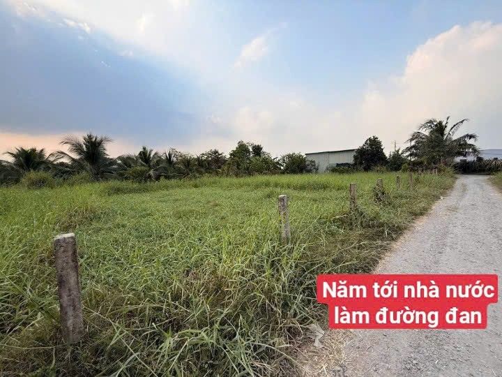 Đất Nền Sổ Đỏ 182m² Phú Ngãi Trị, Châu Thành - Giá Chỉ 1 Tỷ