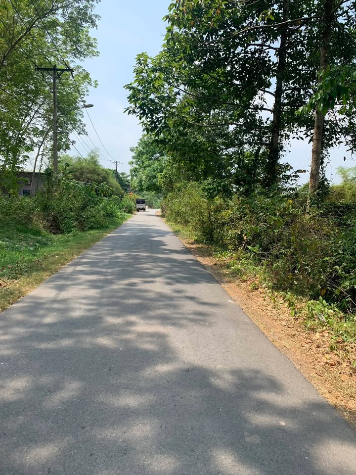 Đất Nền Củ Chi 214.6m² - Sổ Đỏ Quy Hoạch Dân Cư, Giá 1.35 Tỷ TL