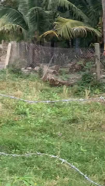 Đất Nền Ninh Đa 102m² Giá 300 Triệu - Sổ Đỏ Chính Chủ Bán Gấp!