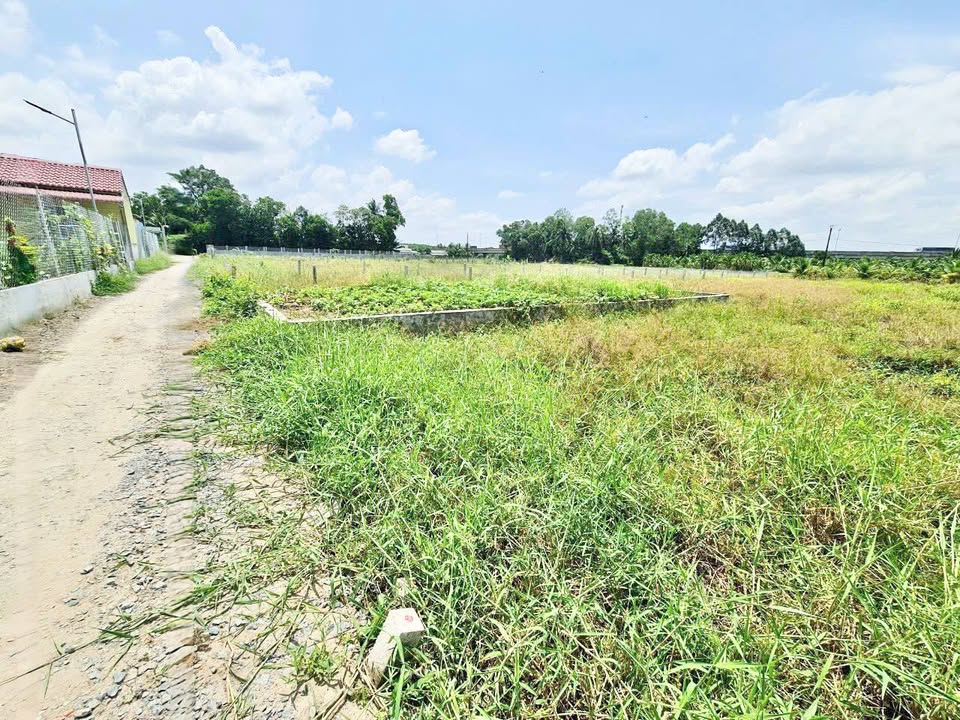 Bán Đất Vườn 244.8m² Hướng Thọ Phú, Tân An - Sổ Đỏ Chính Chủ