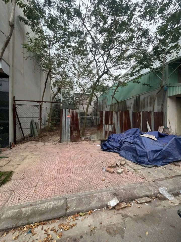 Bắc Ninh: Đất nền Nam Hồng Từ Sơn 95m² - Sẵn Sàng Đầu Tư Sinh Lời