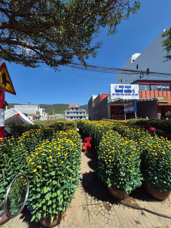 Đất nền QL27 Đơn Dương - 140m² Full Thổ Cư - Giá 6.8 Tỷ/Lô