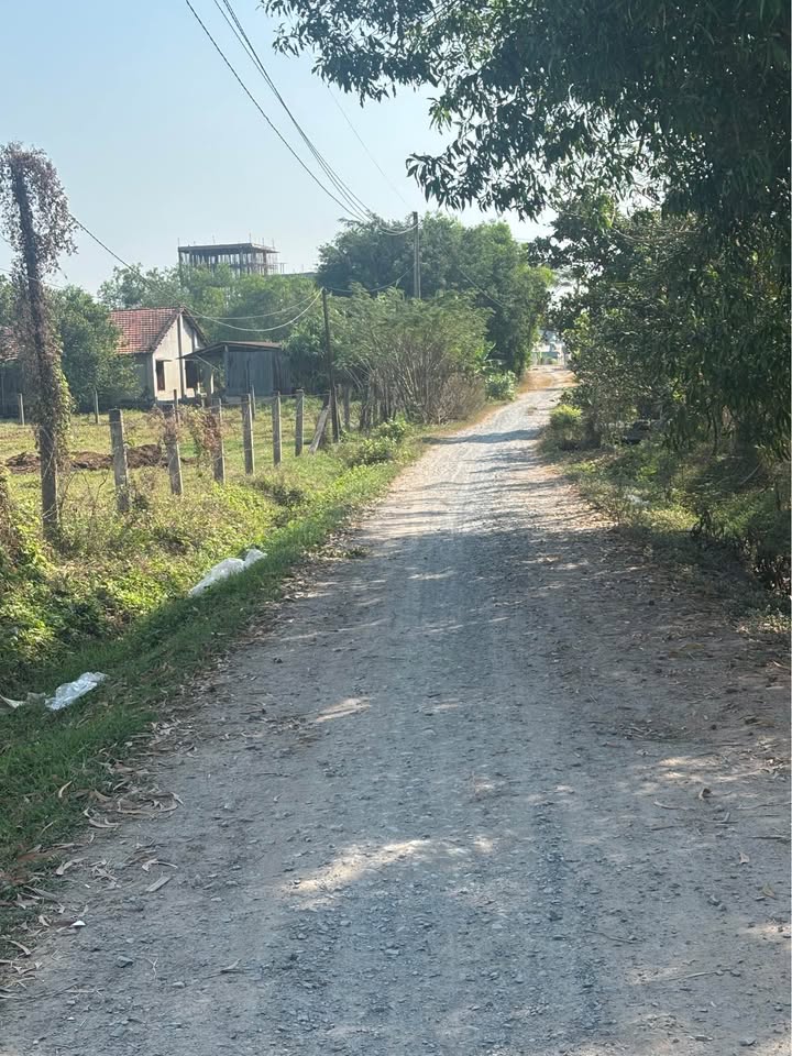 Nhà Vườn 320m² Mỹ Hạnh, Hóc Môn - Sổ Hồng Riêng, Giá 3.7 Tỷ