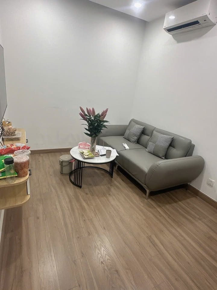 Chung cư Ecopark Hải Dương 1PN 6.5 triệu - Full nội thất cao cấp