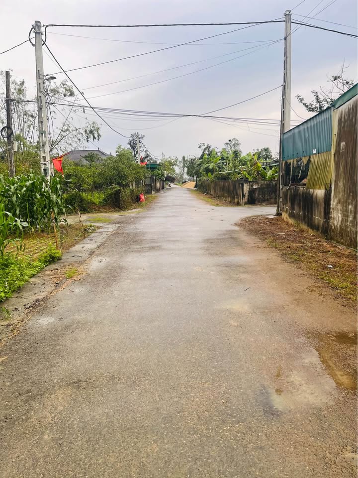 Đất nền Nghi Liên 106m² giá 1 tỷ - Hạ tầng hoàn thiện, ở ngay!